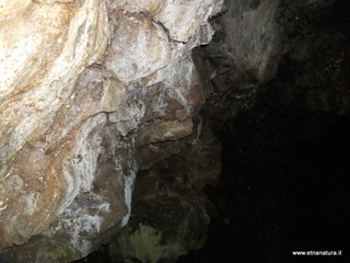 conco di Liricio-24-03-2013 10-28-27